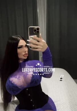 Escorta Pantera 6